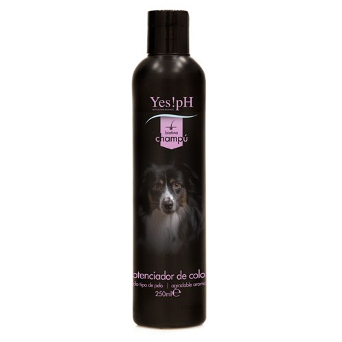 0.25 L Yes!pH Champô Potenciador de Cor para cães