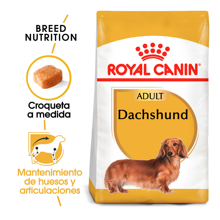 1.5 KG Royal Canin Adult Dachshund ração para cães