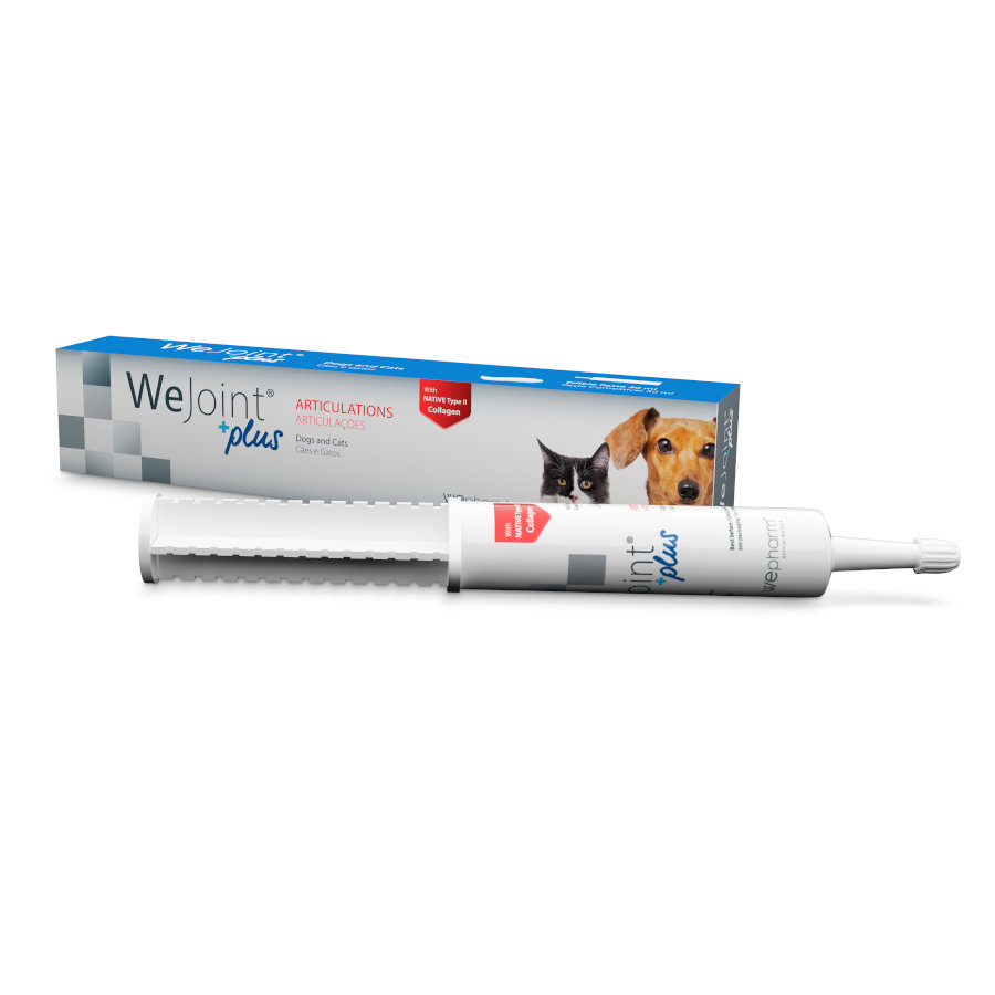 0.08 KG 0.08 KG Wepharm Wejoint Plus Pasta Suplemento para cães e gatos