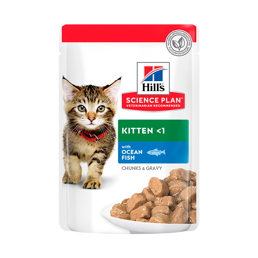 48 saquetas x 85 g Hill's Kitten Science Plan Peixe Azul saqueta em molho Pack poupança!