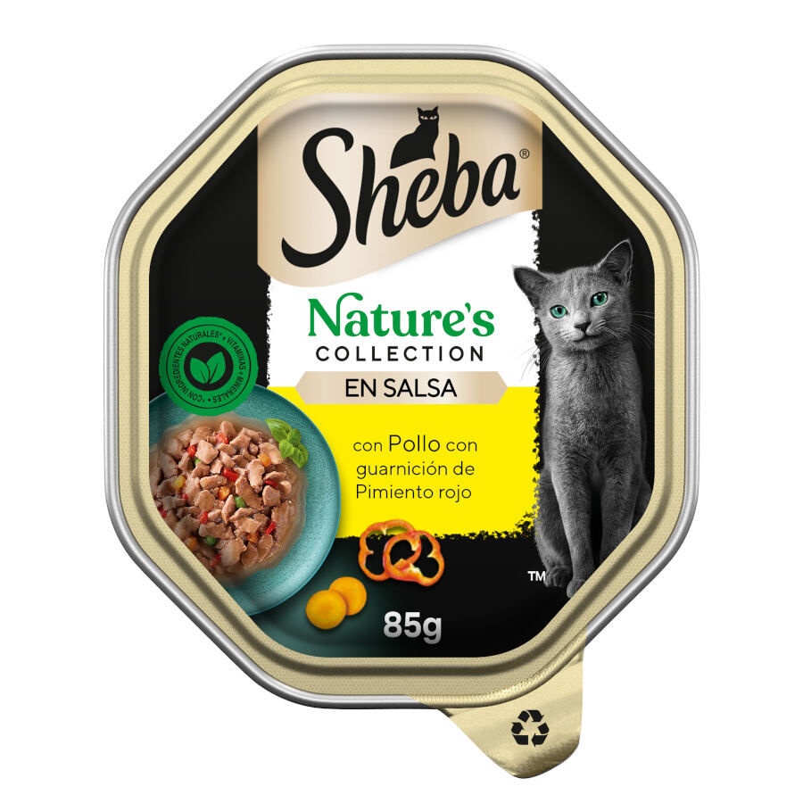 12 terrinas x 85 g Sheba Nature Collection Frango em molho terrina para gatosPack poupança!