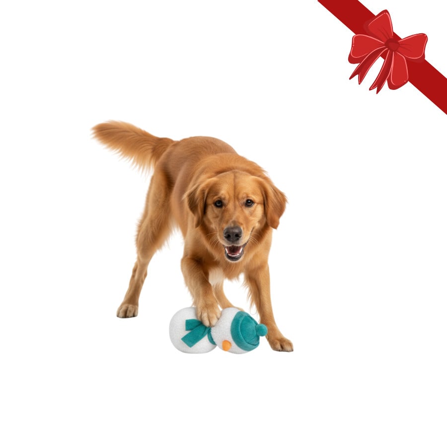 Wonder Christmas Peluche Boneco de Neve Natalício para Cães