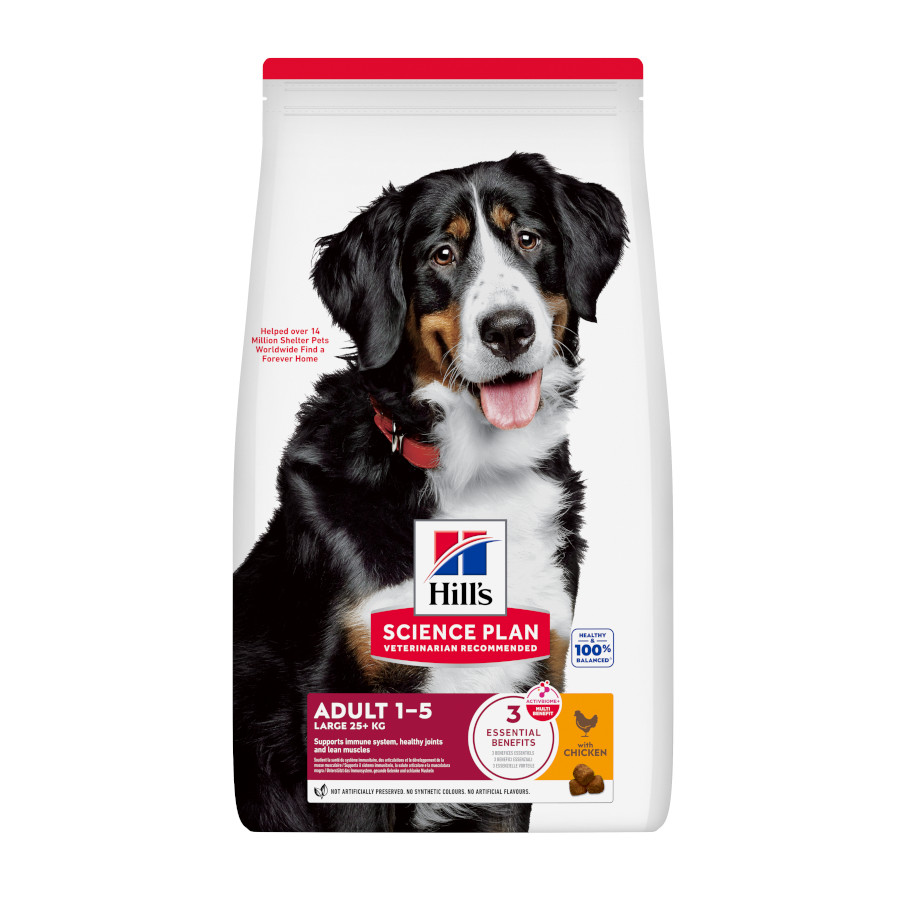 6 kg  Hill's Science Plan Adult Large Ração de frango para cães