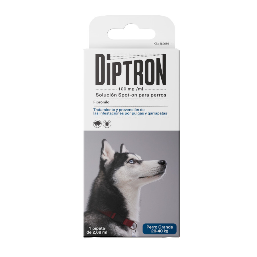 0.03 L Diptron Spot On Grande Pipeta Antiparasitária para cães