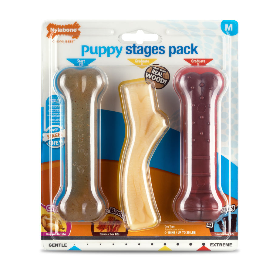 Nylabone Trio de Mordedores com Sabor a Frango, Bacon e Carne para cachorros