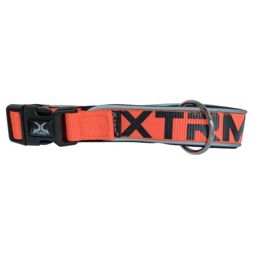 Nayeco X-TRM Neon Flash Coleira Laranja para cães