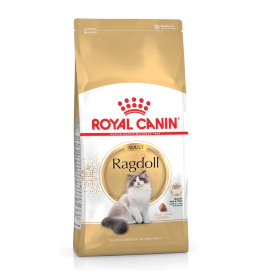 2 KG 2 kg Royal Canin Adult Ragdoll ração para gatos