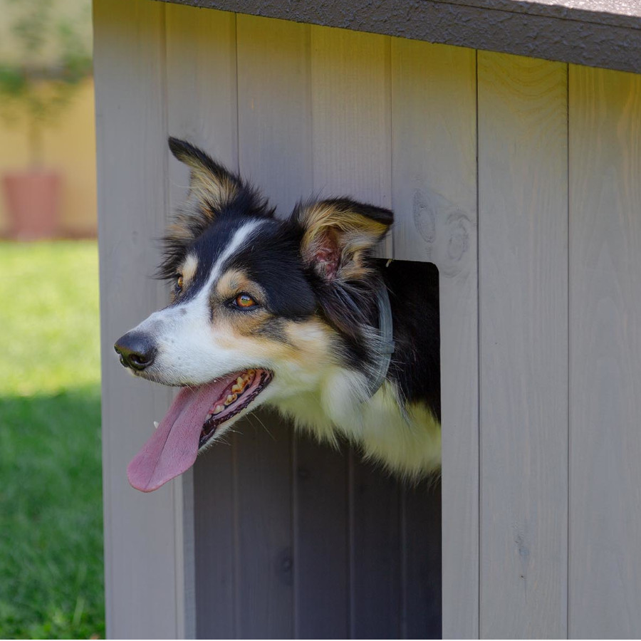 TK-Pet Lake Casota de Madeira para cães