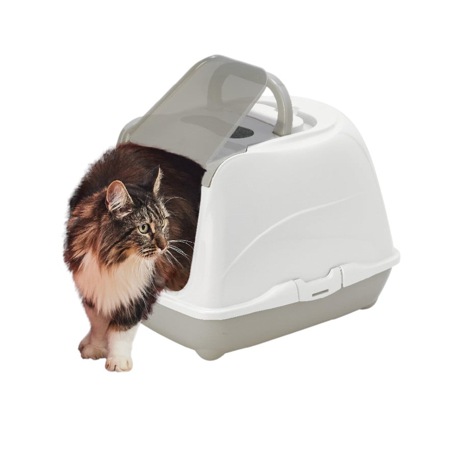 Nice Care Caixa de areia Mega Flip Large verde para gatos
