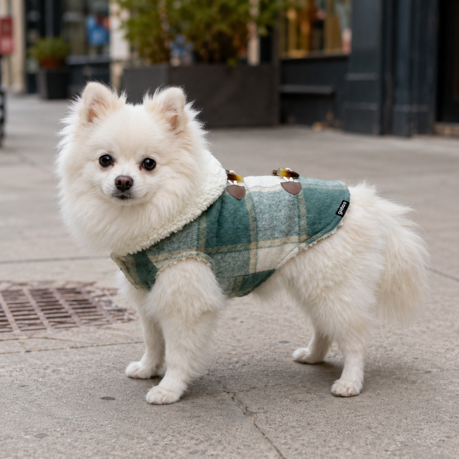 Gotoo Casaco Tartan com Capuz para cães