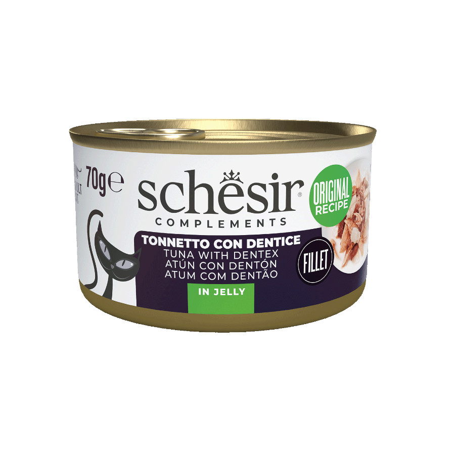 12 latas x 70 g Schesir Atum com Denton em lata de gelatina para gatos Pack Poupança!