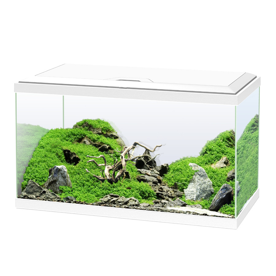 8.5 KG 8.5 KG Ciano Aqua Led 60 Aquário Branco com luz led, filtro e aquecedor