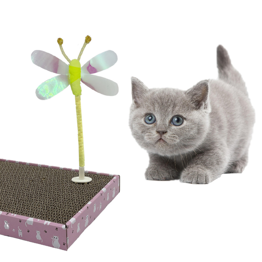 Leeby Babette borboleta em brinquedo interativo para gatos