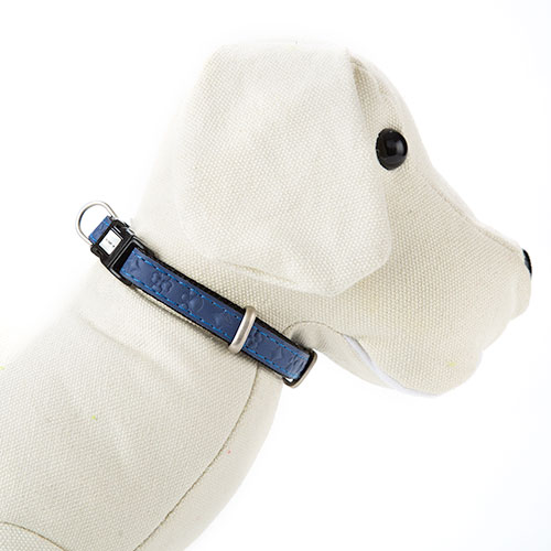 MacLeather Star Azul collar para perro de polipiel image number null