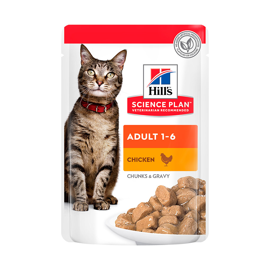 48 saquetas x 85 g Hill's Science Plan Adult Frango saqueta para gatos Pack poupança!