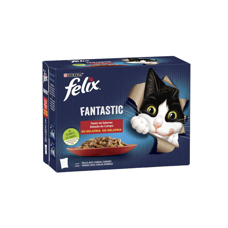 96 sobres x 85 g Felix Fantastic Carne en Gelatina sobre para gatos