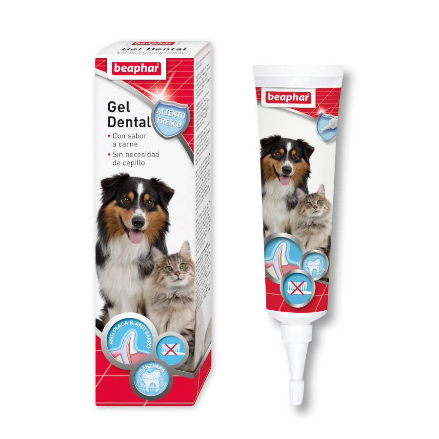 Beaphar Gel Dentário para cães e gatos , , large image number null