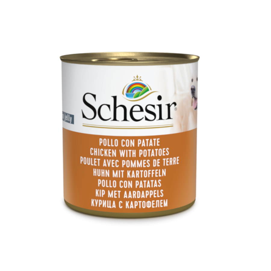 3.42 kg Schesir Adult Frango com Batatas lata para cães