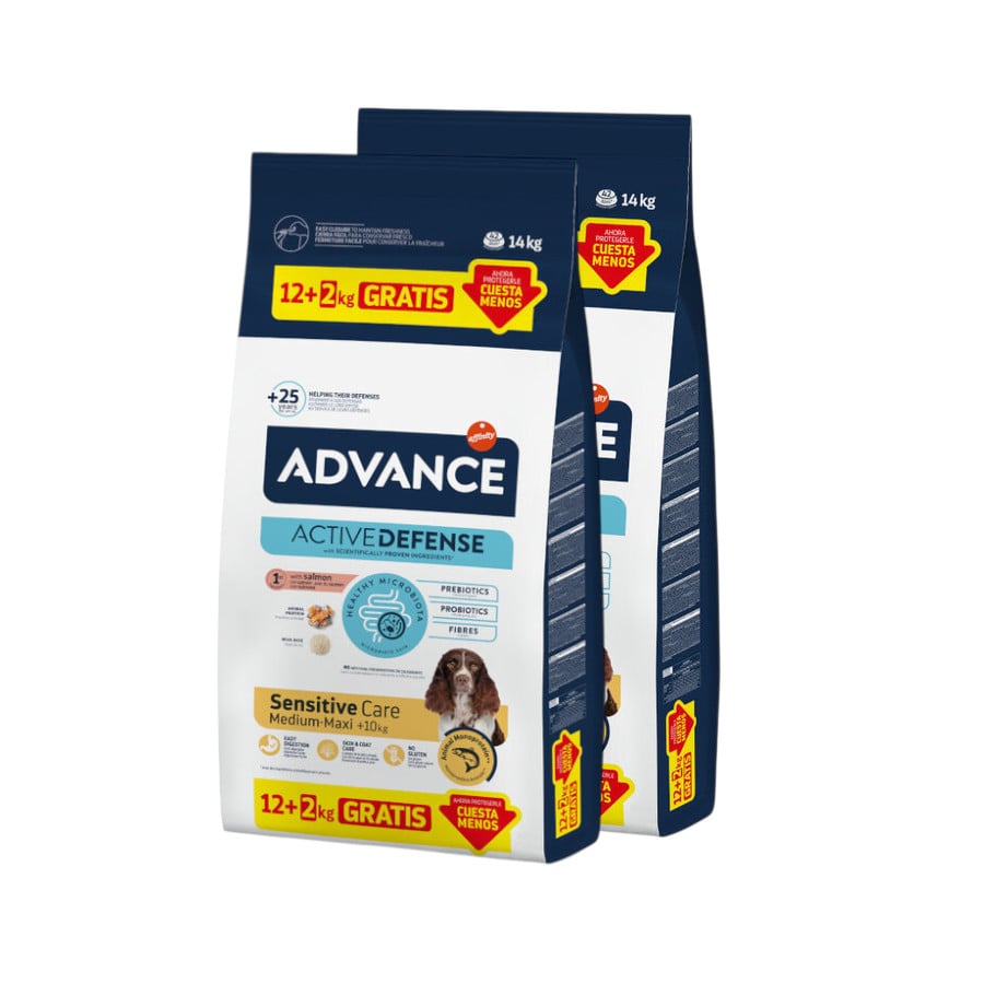 28 kg (24 + 4 kg grátis!) Advance Active Defense Medium Maxi Sensitive Salmão e Arroz ração para cães Pack poupança!