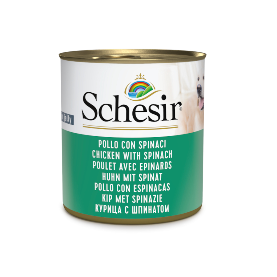 285 g Schesir Adult Frango com Espinafres lata para cães