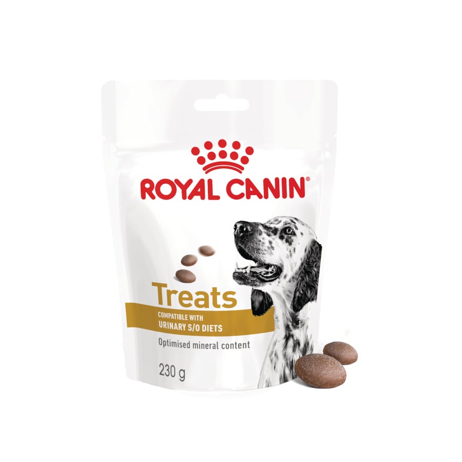 0.23 KG 230 g Royal Canin Treats Urinary Snacks para cães