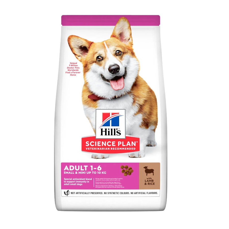 1.5 KG Hills Adult Small & Mini Science Plan Cordeiro ração para cães