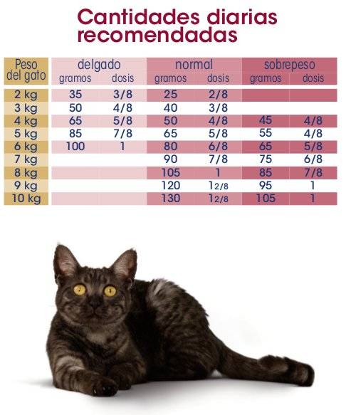 Royal canin gatos felinos com fÃ­gado de problemas de fÃ­gado