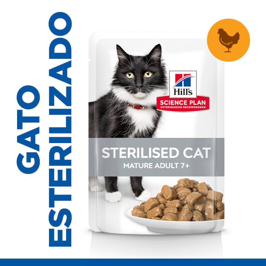 24 saquetas x 85 g Hill's Science Plan Sterilised Mature Frango saqueta de molho para gatos