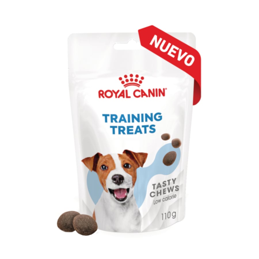 4 pacotes x 110 g Royal Canin Training snacks para cães Pack poupança!
