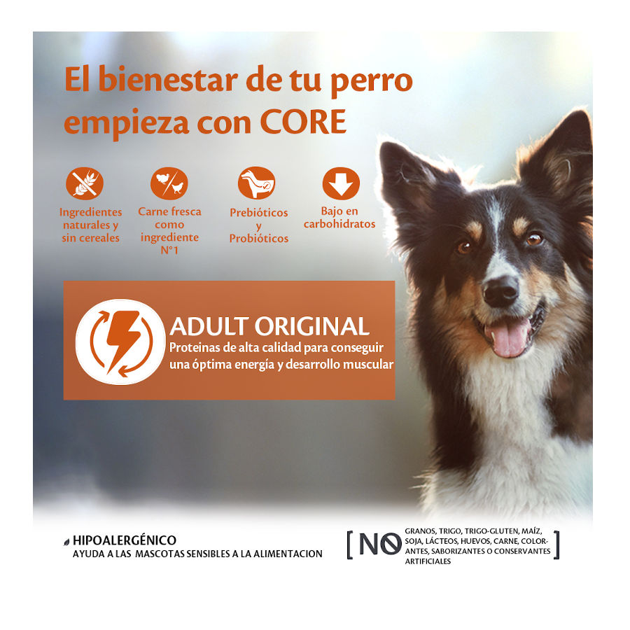 10 KG Wellness Core Adult Medium Original Peru e Frango ração para cães