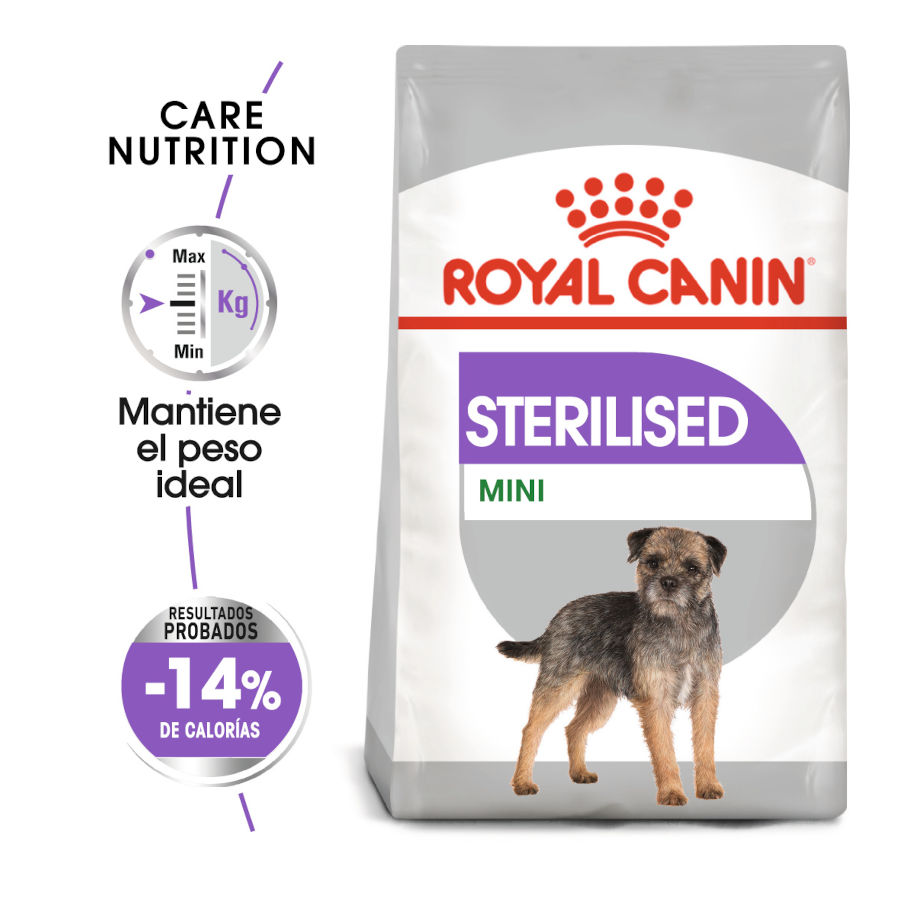2 x 8 kg Royal Canin Mini Sterilised ração para cães Pack poupança!