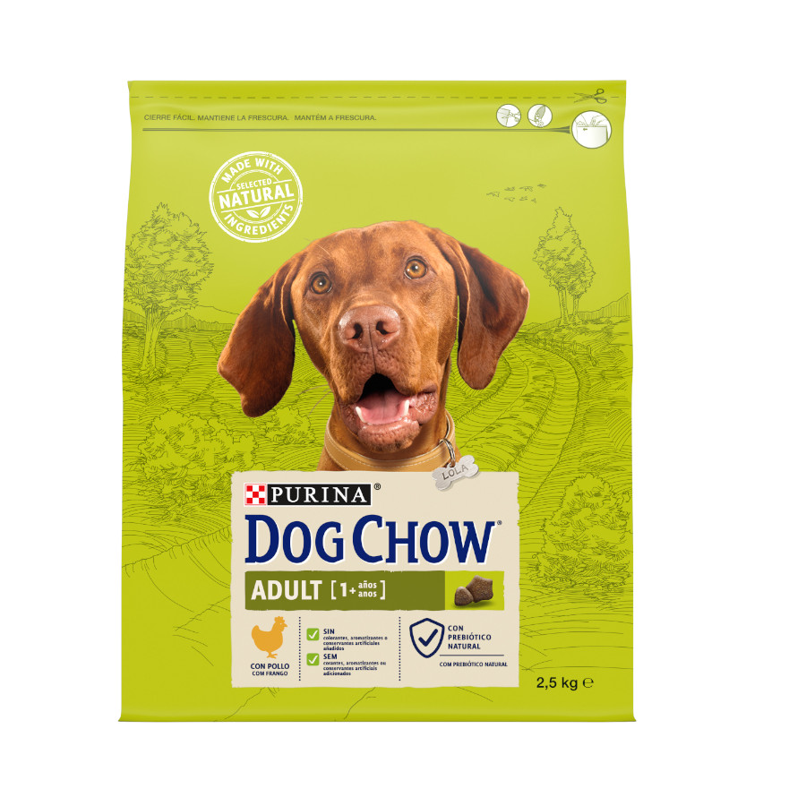 2.5 kg Dog Chow Adult Frango ração para cães
