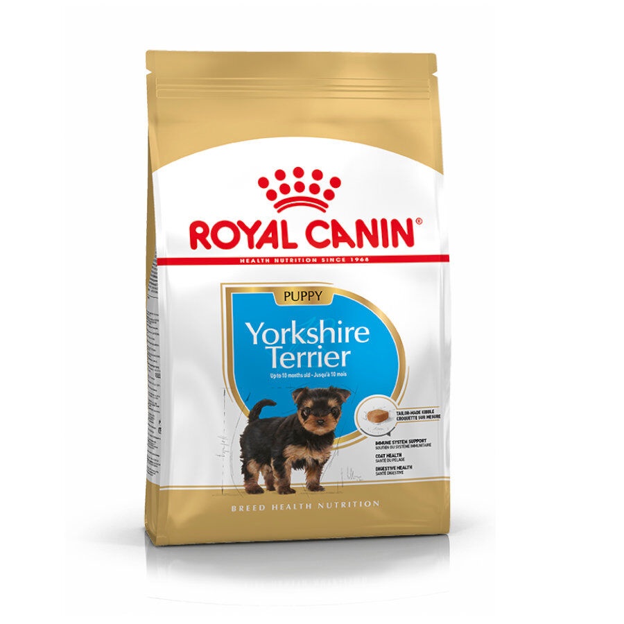Royal Canin Puppy Yorkshire Terrier ração para cães