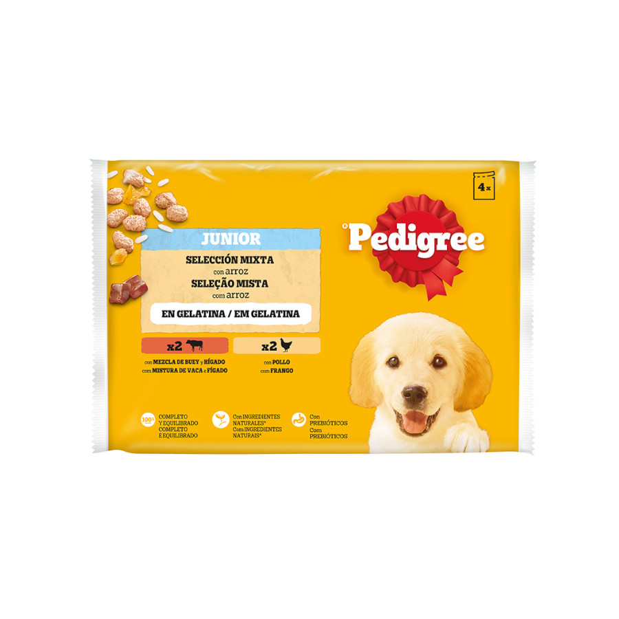 48 saquetas x 100 g Pedigree Frango e Cordeiro Geleia em Saquinho para Cães Pack poupança!