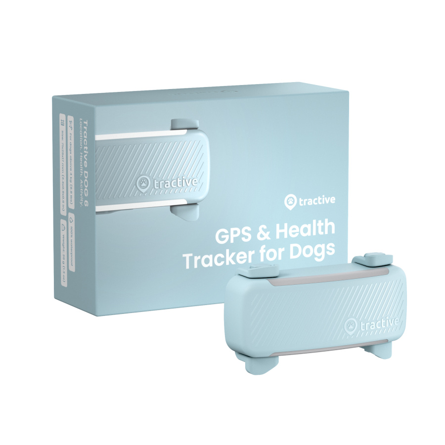 Tractive GPS Dog 6 Rastreador Mint de cães