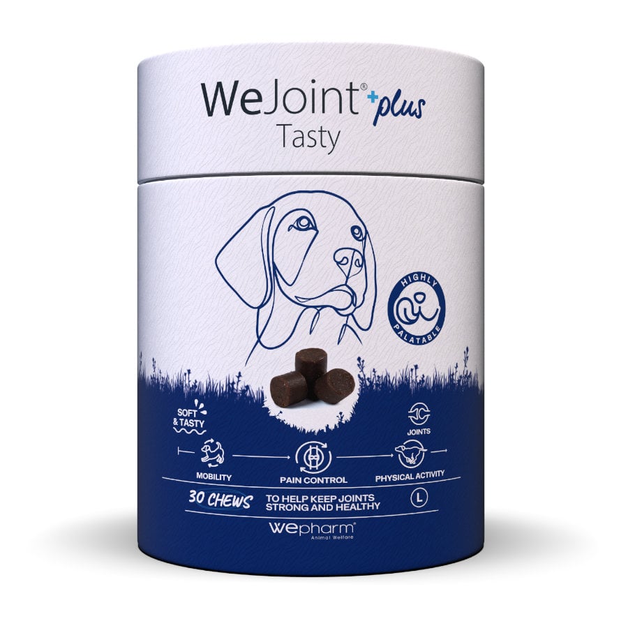 Wepharm Wejoint Plus Tasty Suplemento para cães