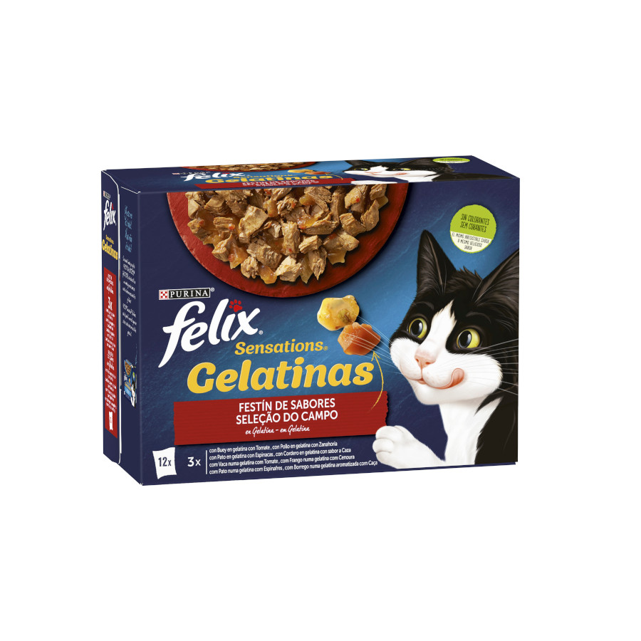 24 saquetas x 85 g Felix Sensations Seleção do Campo saquetas em galeia Pack poupança!