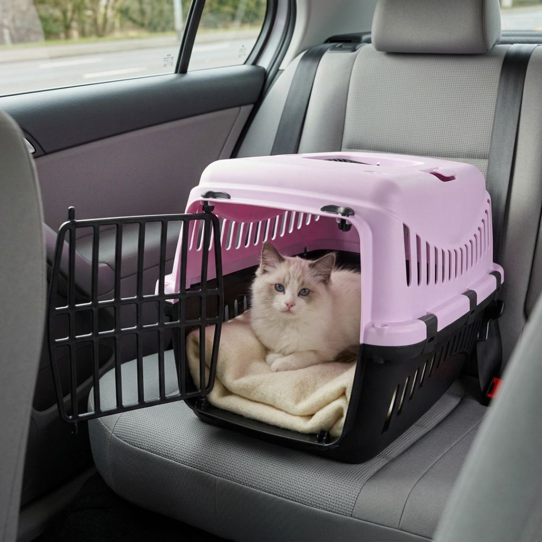 TK-Pet Senda Gipsy Transportadora Roxa para cães e gatos