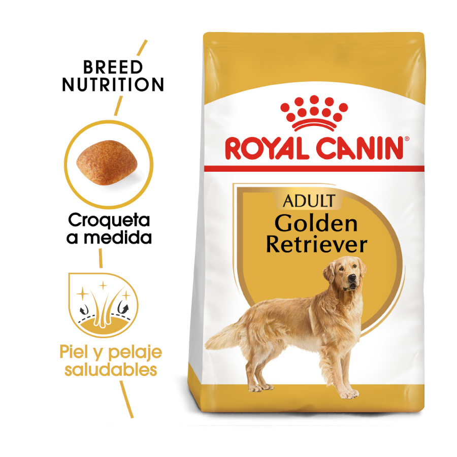 2 x 12 kg Royal Canin Adult Golden Retriever ração para cães Pack poupança!