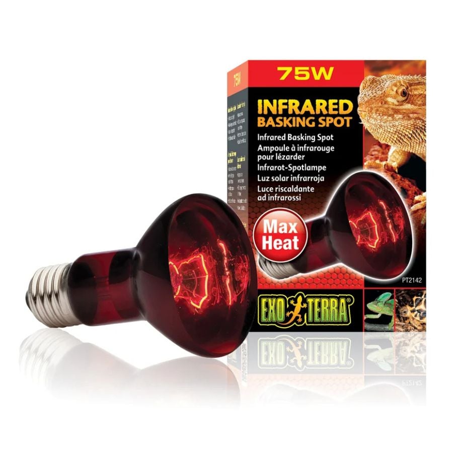 Exoterra Luz Solar infrarroja para terrarios