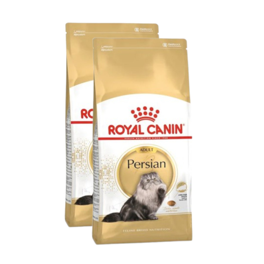 2 x 4 kg Royal Canin Persa ração para gatos adultos Pack poupança!