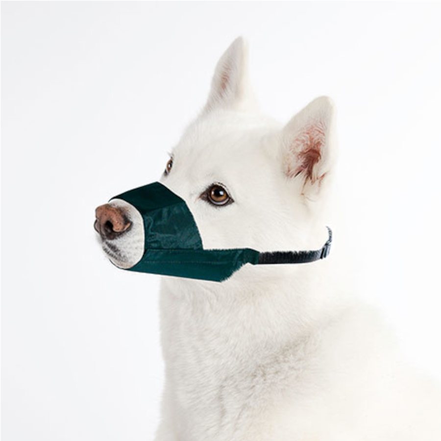 TK-Pet Exclusive Açaime para cães