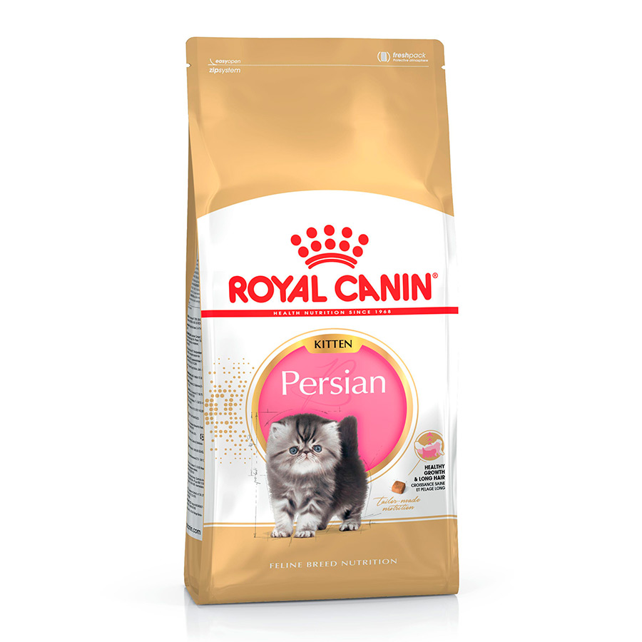 Royal Canin Kitten Persa ração para gatinhos
