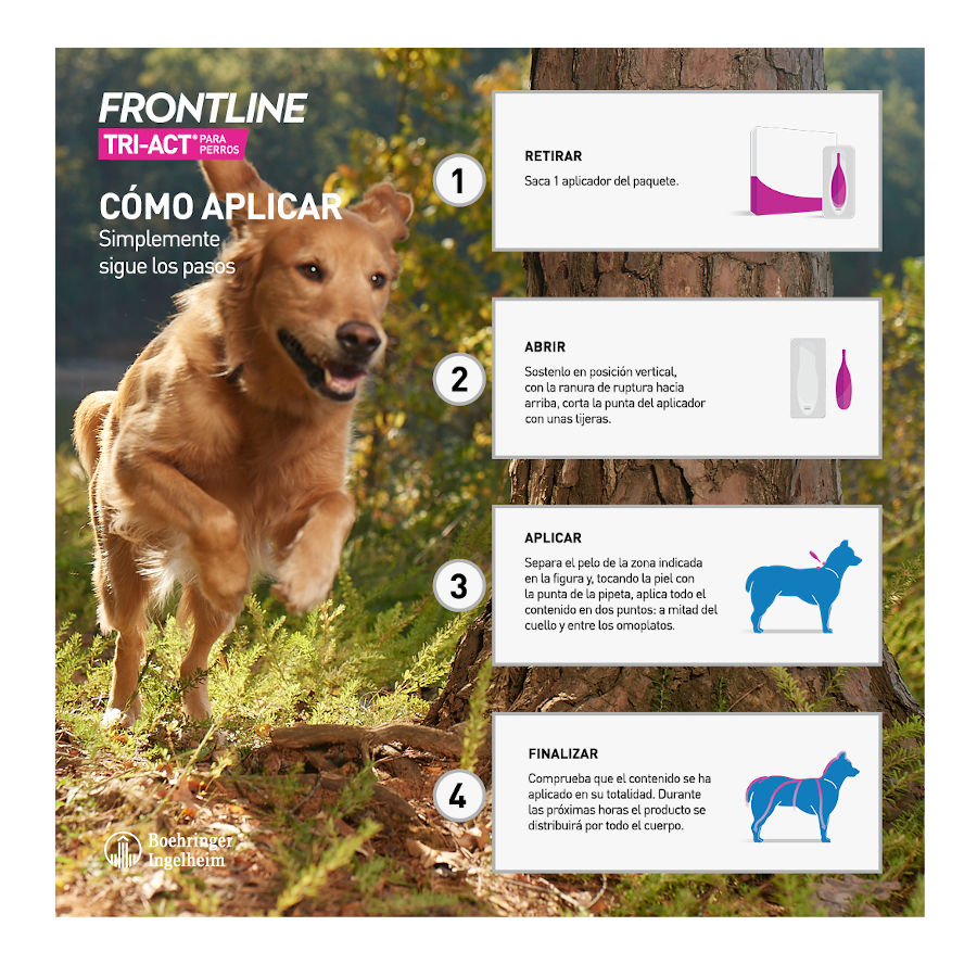 Frontline Tri-Act pipetas antiparasitárias para cães 5 - 10 kg, , large image number null
