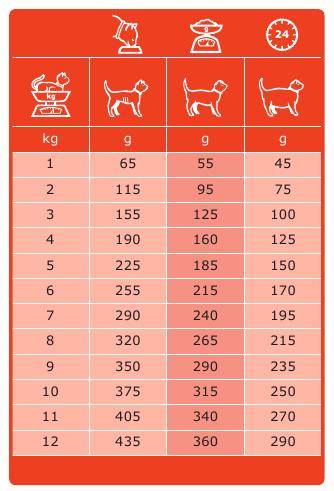 Gatos de cordeiro de felinos FDW especÃ­ficos molhado alimentar