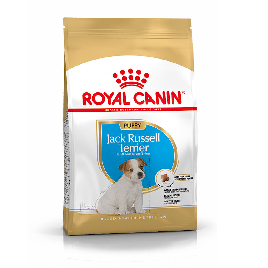 3 KG Royal Canin Puppy Jack Russell Terrier ração para cães