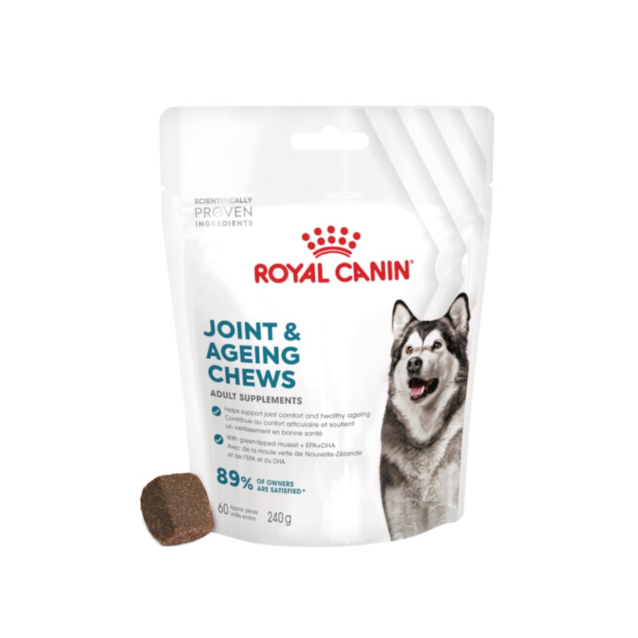 0.24 KG Royal Canin Joint & Aging Chews Suplemento Nutricional para cães com sensibilidade articular