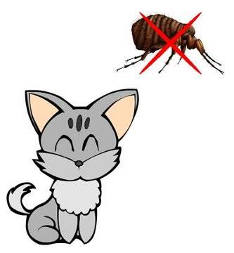 Anti-parasit?rios pulgas e carrapatos para gato effipro
