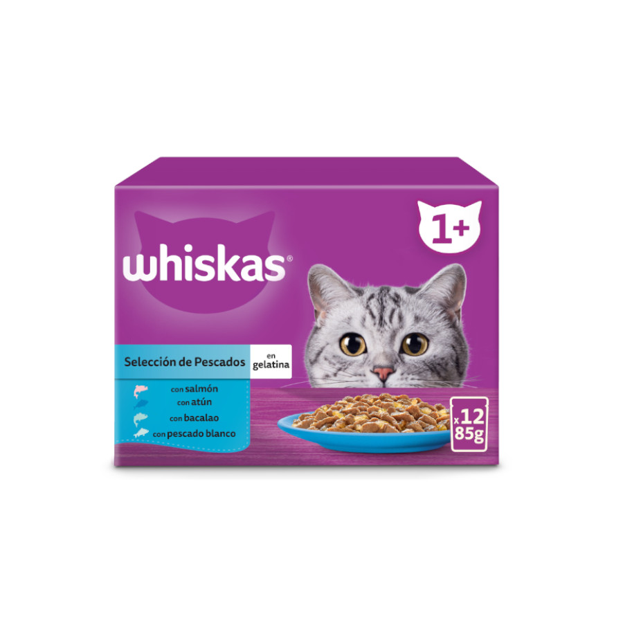 12 saquetas x 85 g Whiskas Seleção Peixes Gelatina em Sache para Gatos Adultos