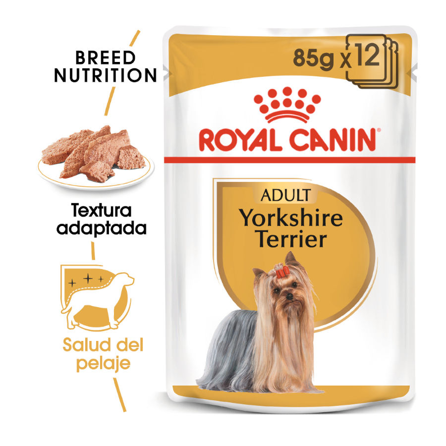 Royal Canin Yorkshire Terrier saqueta para cãe, , large image number null